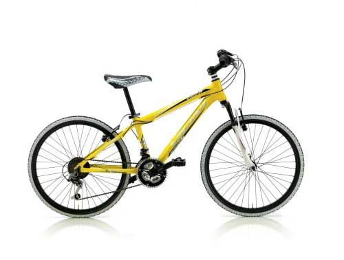 Bicicleta Mountain Bike Vicini Pirate 20