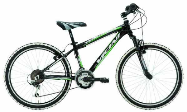 Bicicleta Mountain Bike Vicini Pirate 24